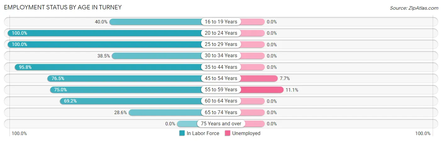Employment Status by Age in Turney