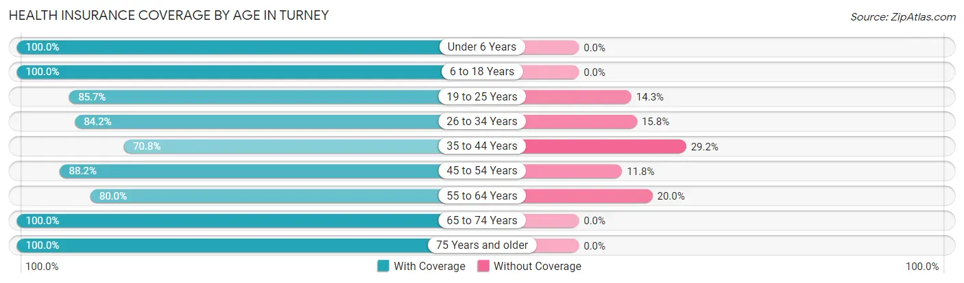Health Insurance Coverage by Age in Turney