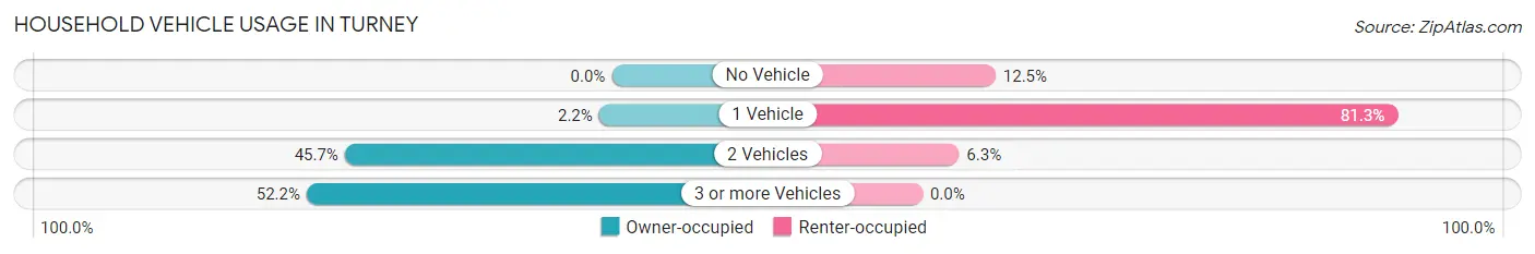 Household Vehicle Usage in Turney