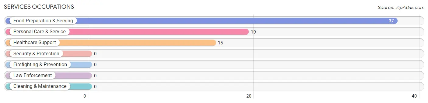 Services Occupations in Van Buren