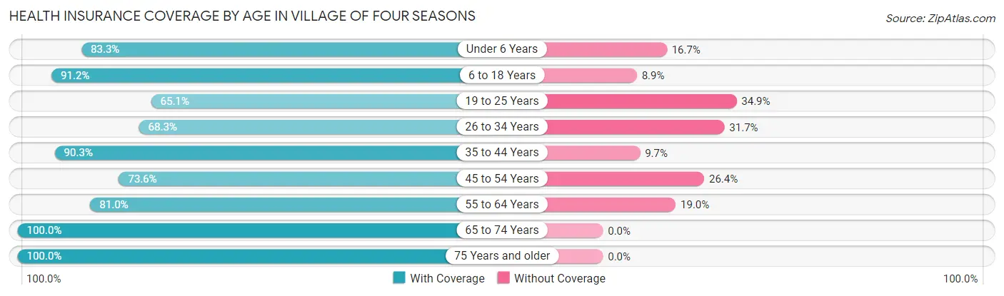 Health Insurance Coverage by Age in Village of Four Seasons