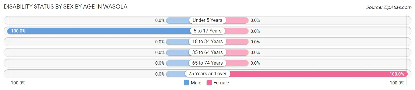 Disability Status by Sex by Age in Wasola