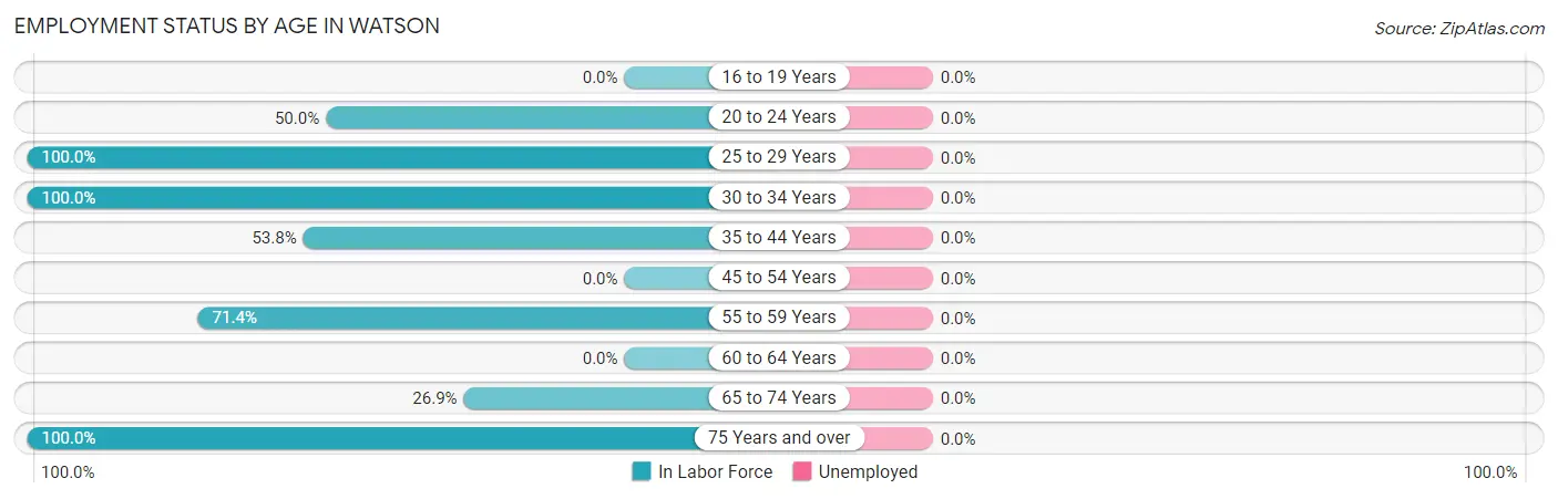 Employment Status by Age in Watson