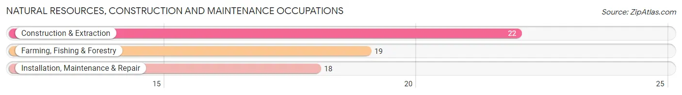 Natural Resources, Construction and Maintenance Occupations in Waverly