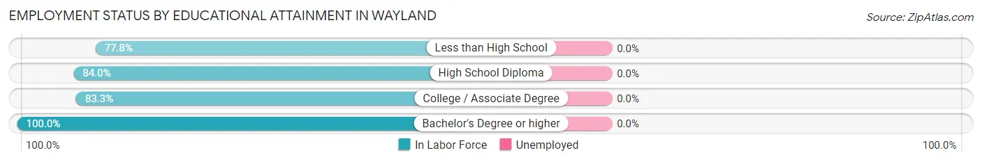 Employment Status by Educational Attainment in Wayland