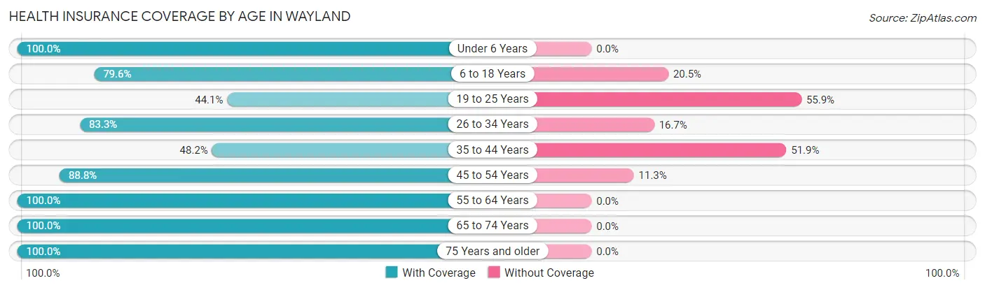 Health Insurance Coverage by Age in Wayland