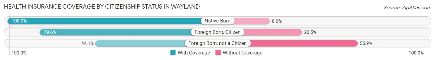 Health Insurance Coverage by Citizenship Status in Wayland