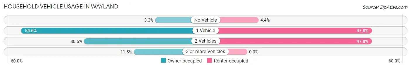 Household Vehicle Usage in Wayland