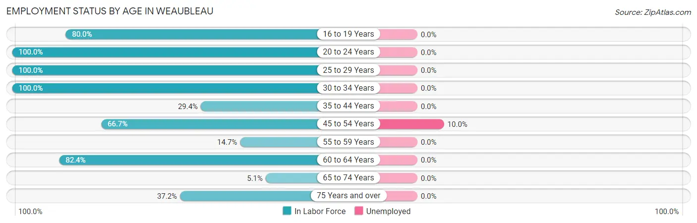 Employment Status by Age in Weaubleau