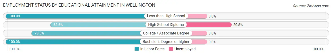 Employment Status by Educational Attainment in Wellington