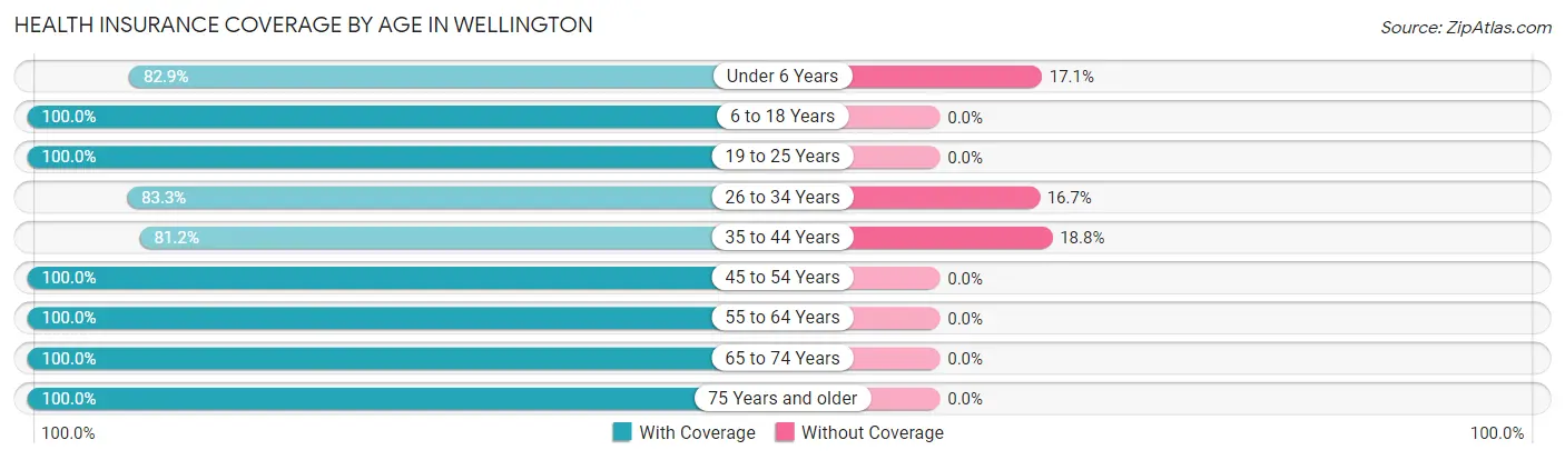 Health Insurance Coverage by Age in Wellington