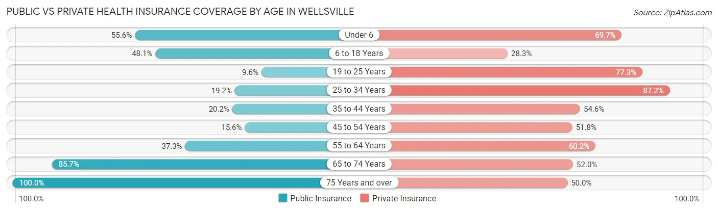 Public vs Private Health Insurance Coverage by Age in Wellsville