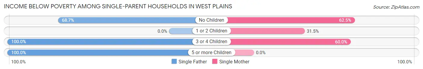 Income Below Poverty Among Single-Parent Households in West Plains