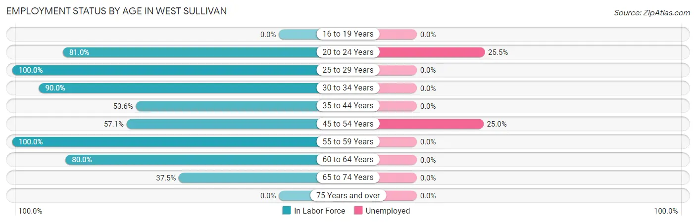 Employment Status by Age in West Sullivan