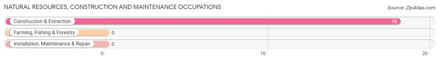 Natural Resources, Construction and Maintenance Occupations in Wheaton