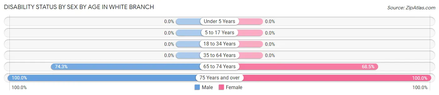Disability Status by Sex by Age in White Branch