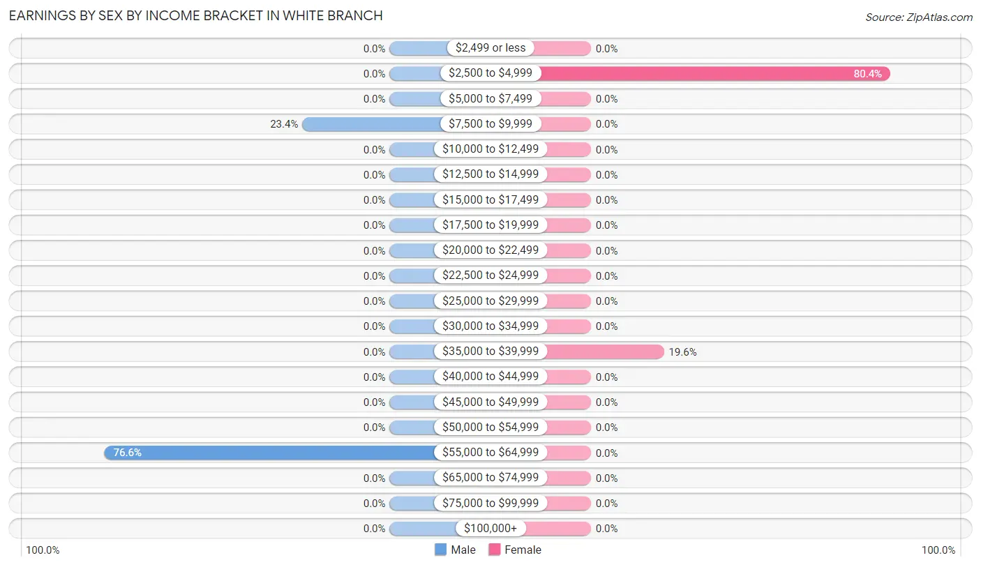 Earnings by Sex by Income Bracket in White Branch