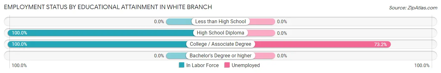 Employment Status by Educational Attainment in White Branch