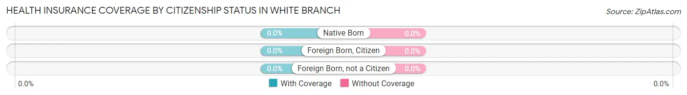 Health Insurance Coverage by Citizenship Status in White Branch