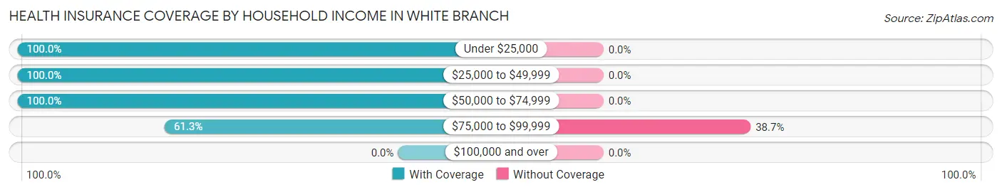 Health Insurance Coverage by Household Income in White Branch