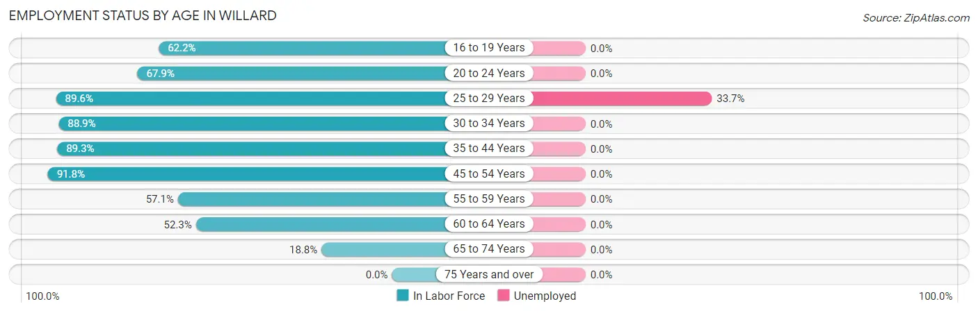 Employment Status by Age in Willard