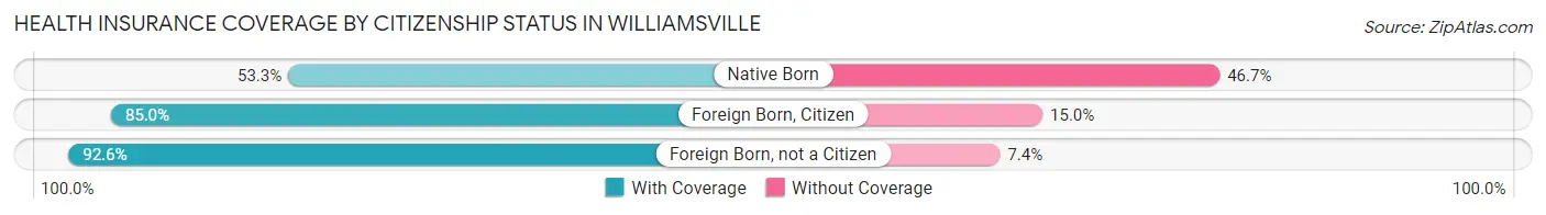Health Insurance Coverage by Citizenship Status in Williamsville