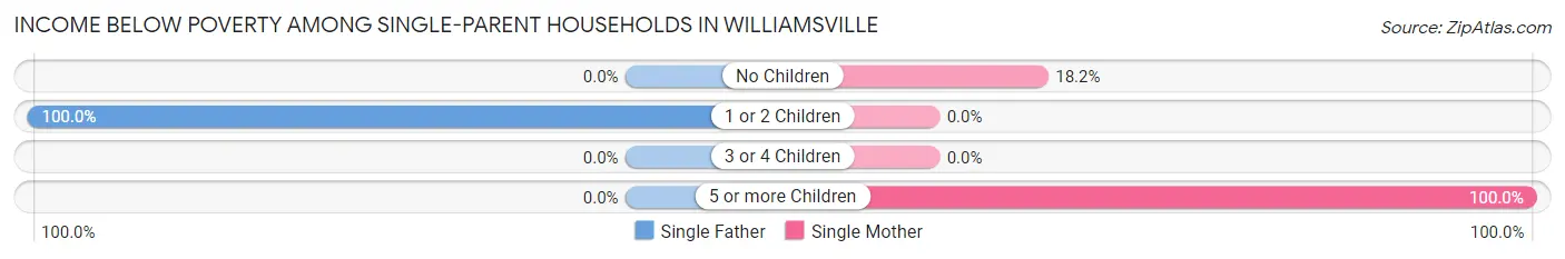 Income Below Poverty Among Single-Parent Households in Williamsville
