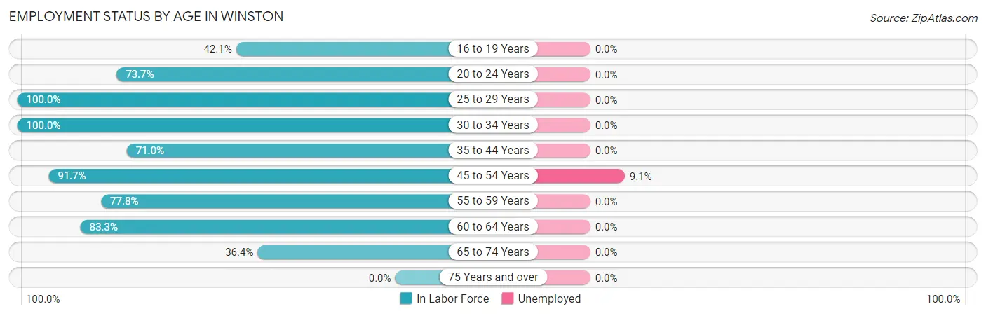 Employment Status by Age in Winston