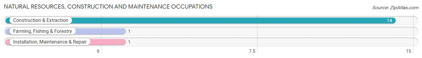 Natural Resources, Construction and Maintenance Occupations in Winston