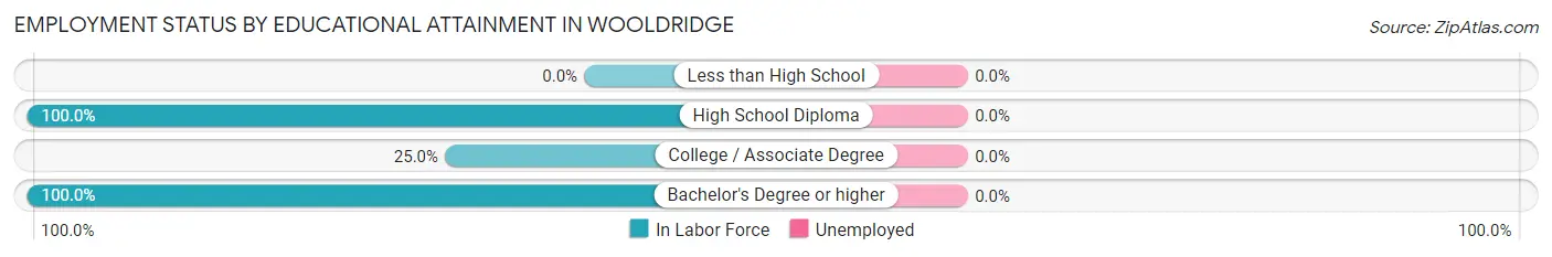Employment Status by Educational Attainment in Wooldridge