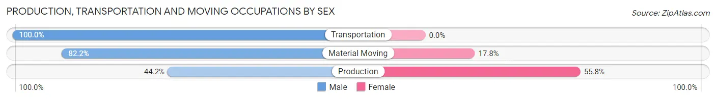 Production, Transportation and Moving Occupations by Sex in Wright City