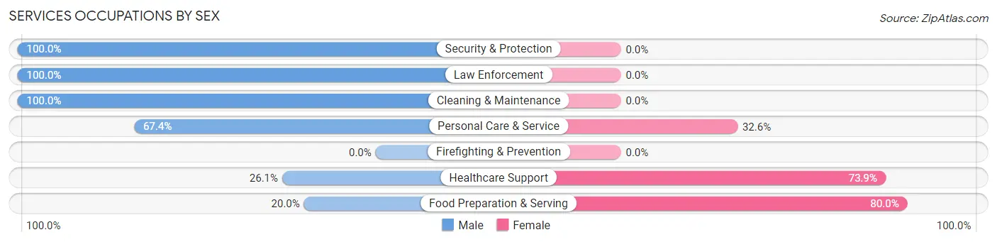 Services Occupations by Sex in Wright City
