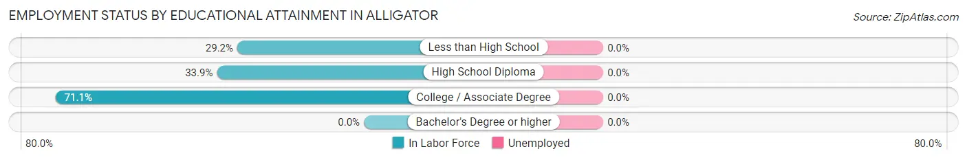 Employment Status by Educational Attainment in Alligator