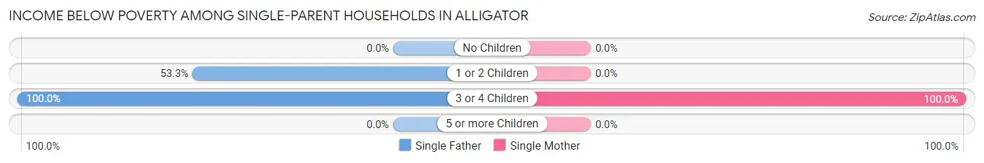 Income Below Poverty Among Single-Parent Households in Alligator
