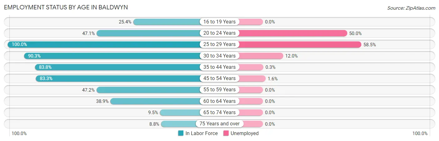 Employment Status by Age in Baldwyn