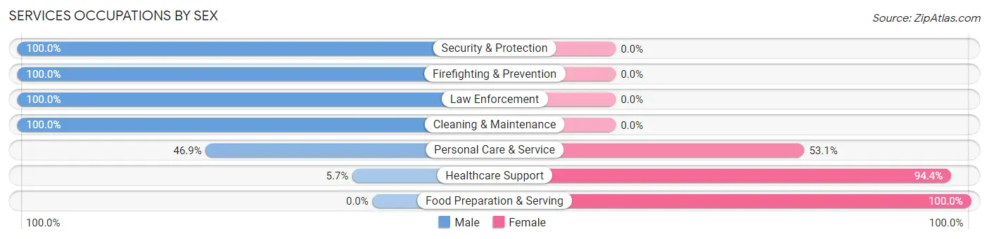 Services Occupations by Sex in Batesville