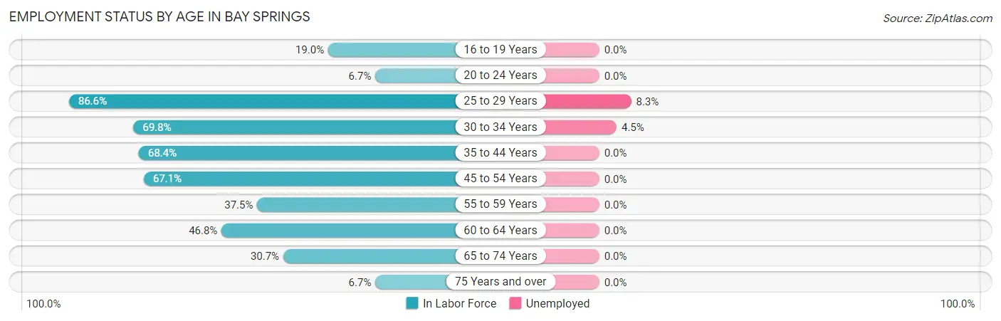 Employment Status by Age in Bay Springs