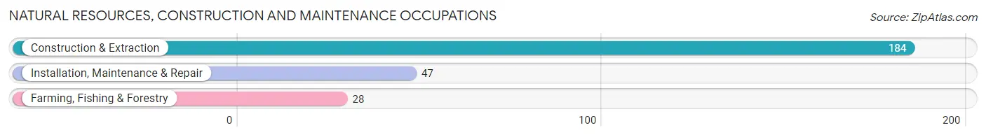 Natural Resources, Construction and Maintenance Occupations in Bay St Louis