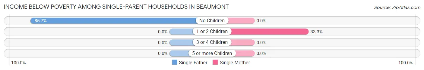Income Below Poverty Among Single-Parent Households in Beaumont