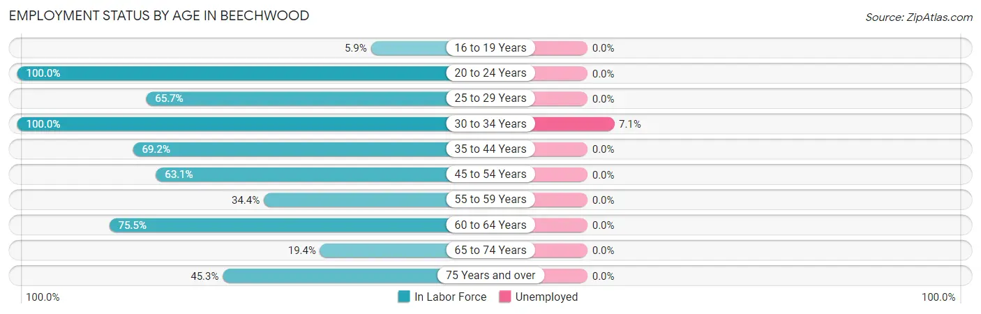 Employment Status by Age in Beechwood