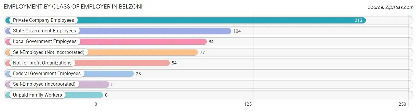 Employment by Class of Employer in Belzoni