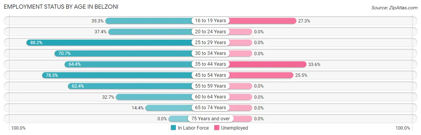 Employment Status by Age in Belzoni
