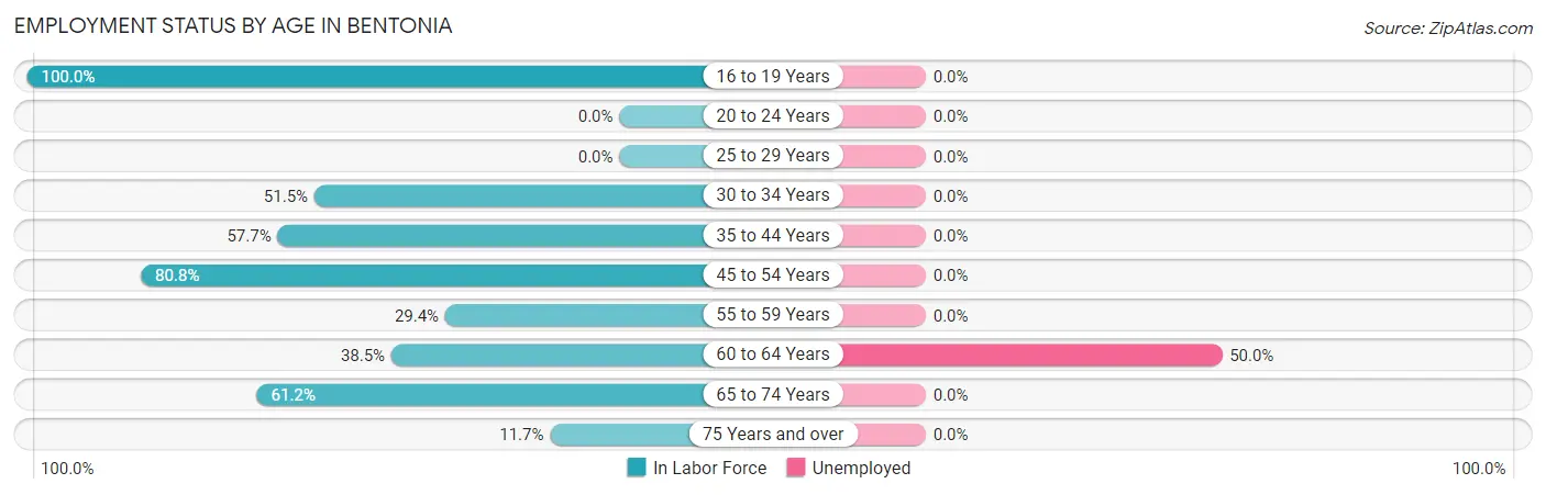 Employment Status by Age in Bentonia