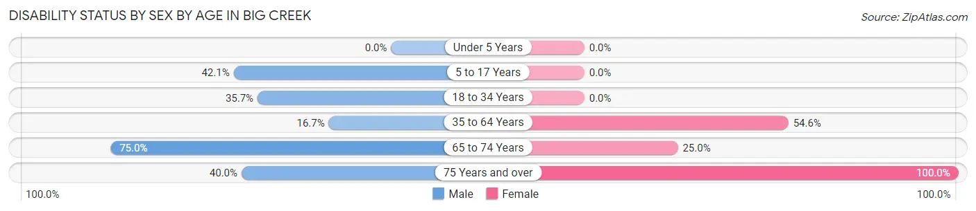 Disability Status by Sex by Age in Big Creek