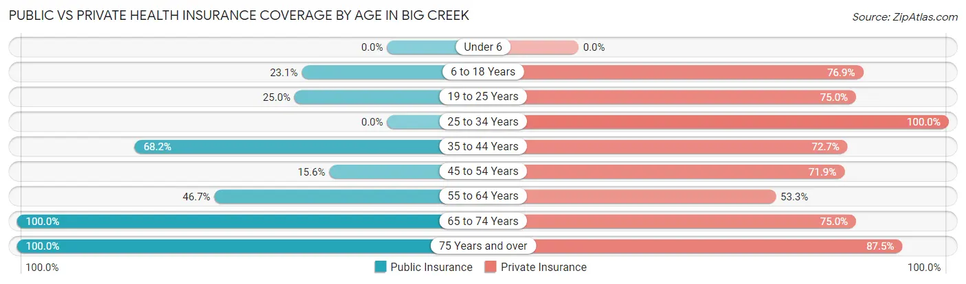 Public vs Private Health Insurance Coverage by Age in Big Creek