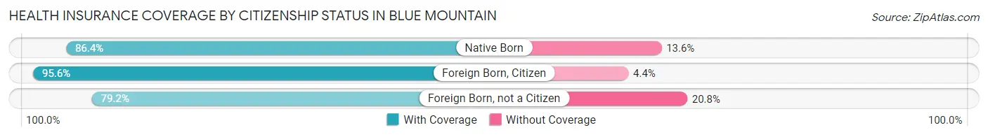 Health Insurance Coverage by Citizenship Status in Blue Mountain