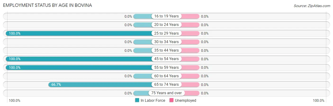 Employment Status by Age in Bovina
