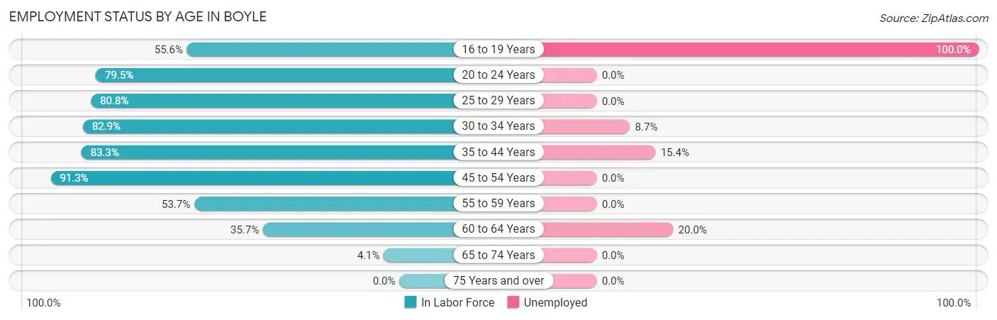 Employment Status by Age in Boyle