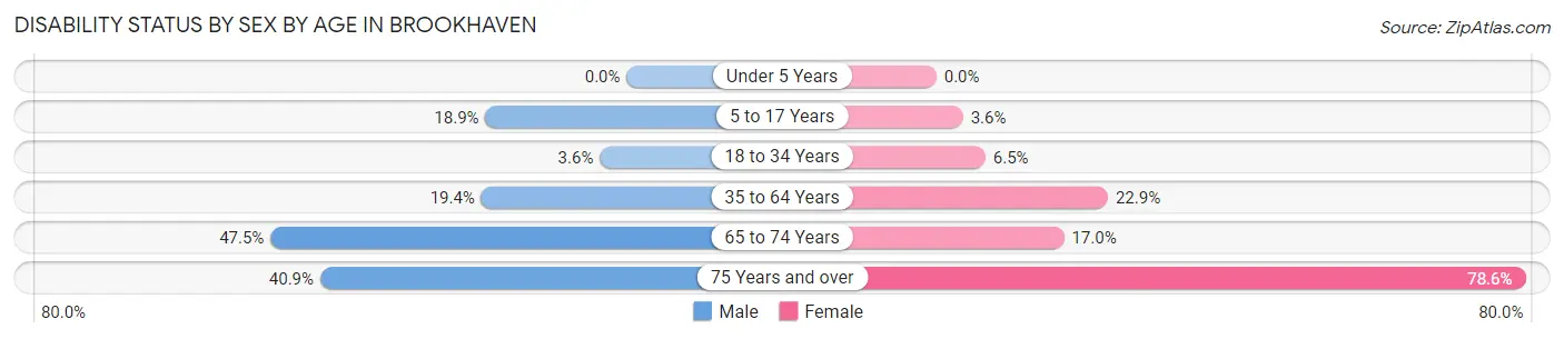 Disability Status by Sex by Age in Brookhaven