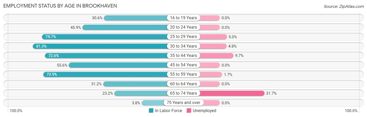 Employment Status by Age in Brookhaven